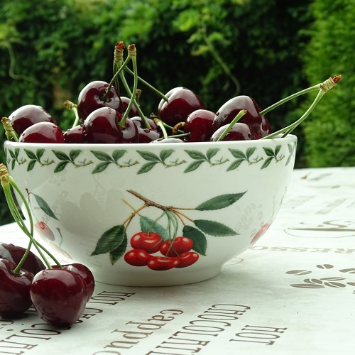 Garten 79